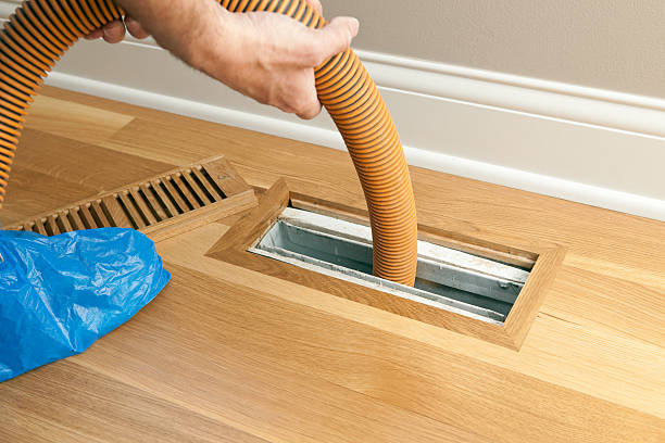 Best Air Duct Sanitizing Services  in Snohomish, WA